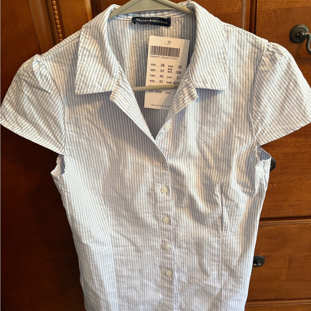 NWT Brandy Melville Rue Blue Striped Short Sleeve Shirt